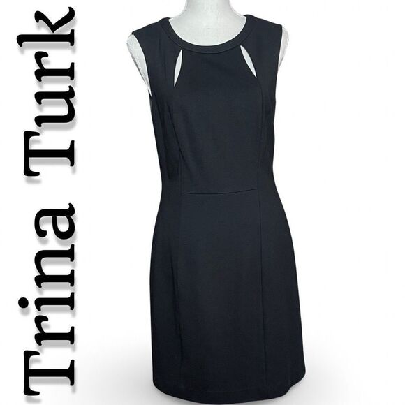 TRINA TURK Elegant Fully Lined Black Dress, 2 Front Cutouts, Back Zipper, Size 6 - Picture 1 of 9
